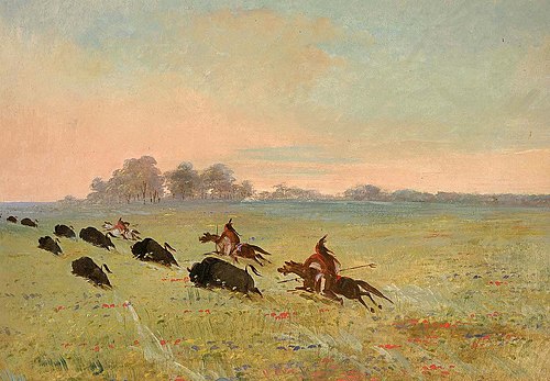 Comanche Indians Chasing Buffalo, 1847, George Catlin