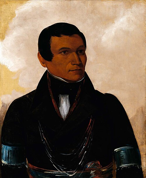 Cú-sick, Son of the Chief, , George Catlin