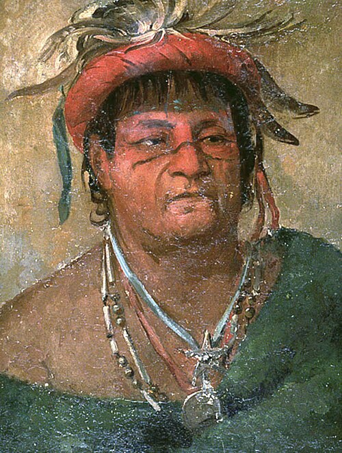 Aúh-ka-nah-paw-wáh, Earth Standing, an Old and Valiant Warrior, 1831, George Catlin