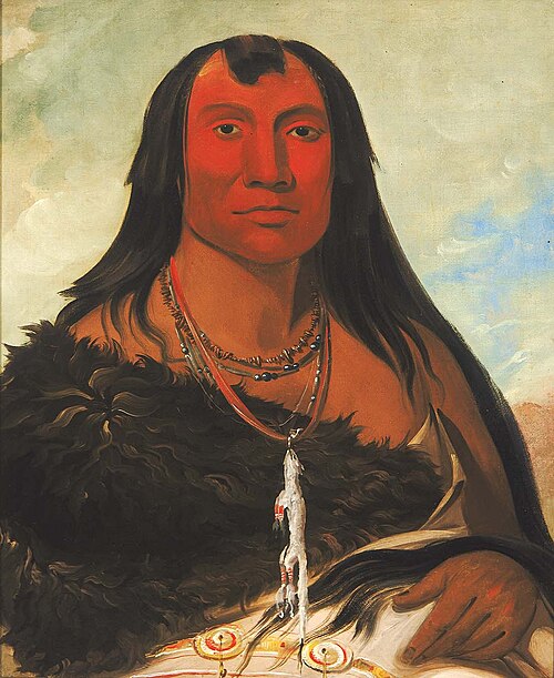 Cháh-ee-chópes, Four Wolves, a Chief in Mourning, 1832, George Catlin