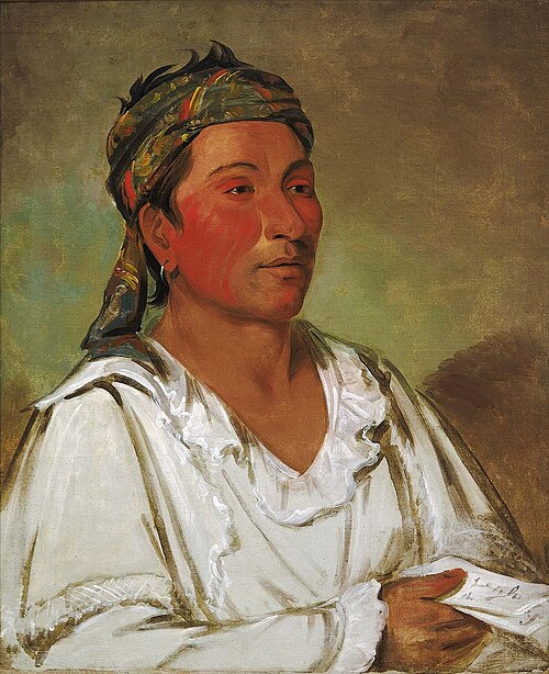 Lay-lóo-ah-pee-ái-shee-kaw, Grass, Bush, and Blossom, Semicivilized, 1830, George Catlin