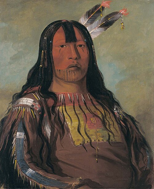 Mix-ke-móte-skin-na, Iron Horn, a Warrior, 1832, George Catlin
