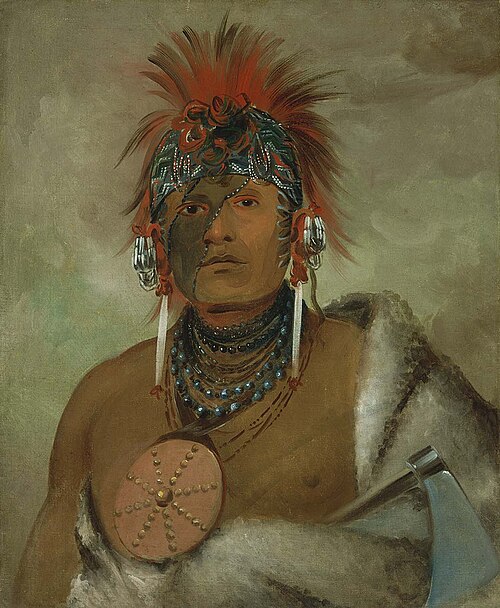 Wá-hón-ga-shee, No Fool, a Great Fop, 1832, George Catlin