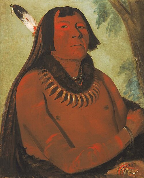 Mah-táhp-ta-a, Rushes through the Middle, a Brave, 1832, George Catlin