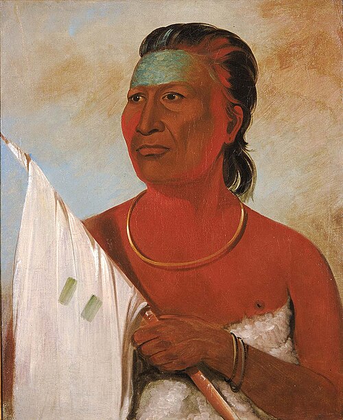 Náh-pope, Soup, adviser to Black Hawk, 1832, George Catlin