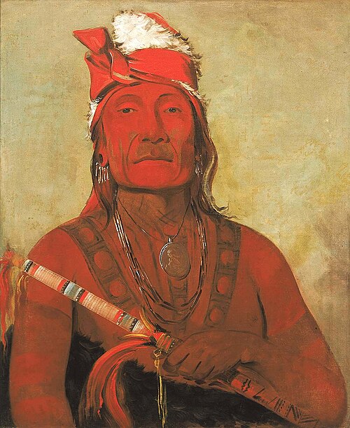 Toh-kí-e-to, Stone With Horns, a Chief, 1832, George Catlin