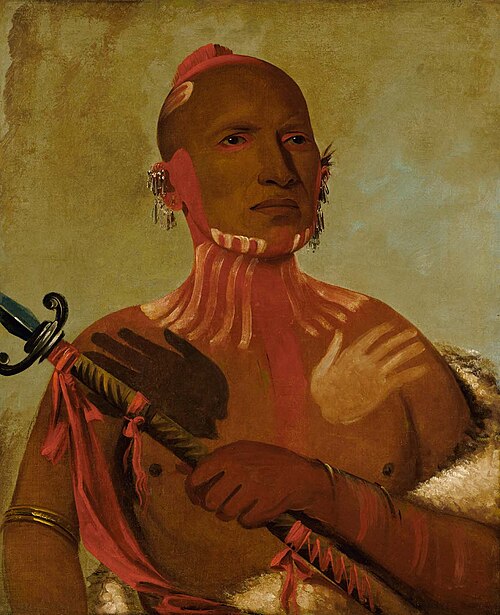 Wée-sheet, Sturgeon's Head, a Fox Warrior, 1832, George Catlin