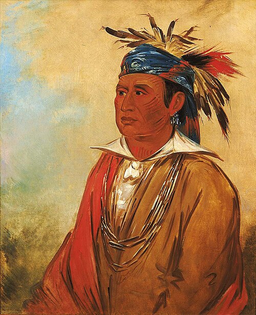 Wah-pón-jee-a, The Swan, a Warrior, 1830, George Catlin