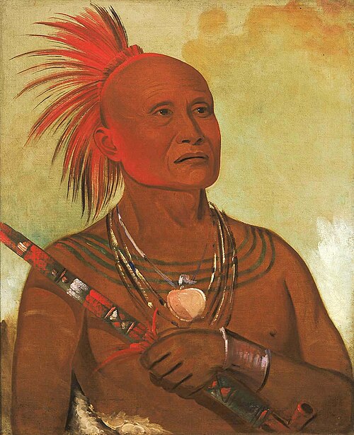 Pam-a-hó, The Swimmer, One of Black Hawk's Warriors, 1832, George Catlin