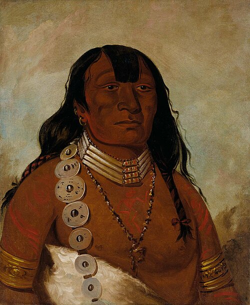 Téh-tóot-sah (better known as Tohausen, Little Bluff), First Chief, 1834, George Catlin