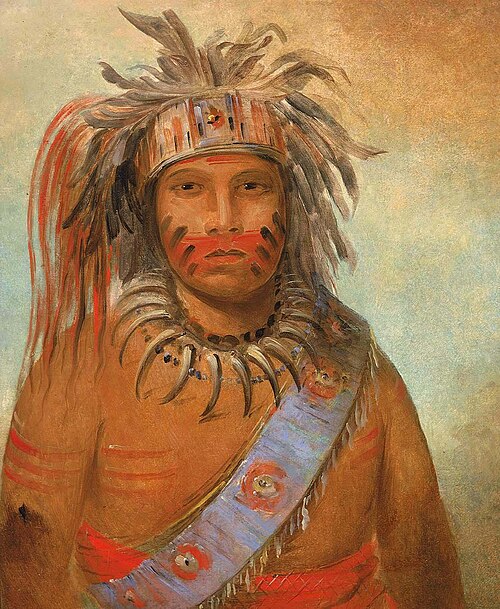 Au-nim-muck-kwa-um, Tempest Bird, 1845, George Catlin