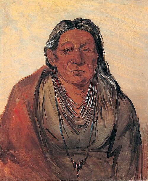 Wah-pe-séh-see, Mother of the Chief, 1830, George Catlin