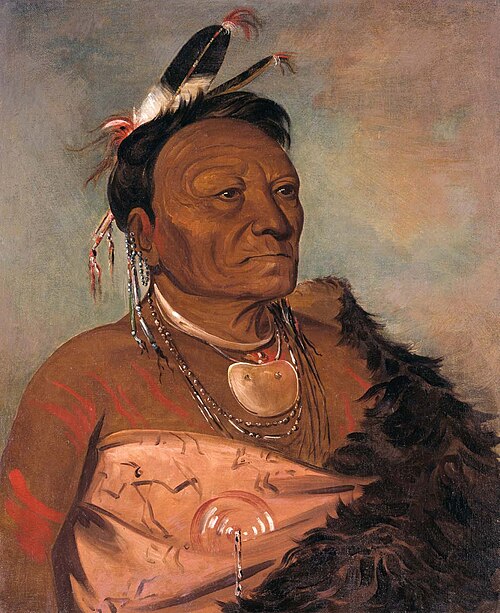 Wee-tá-ra-shá-ro, Head Chief of the Tribe, 1834, George Catlin