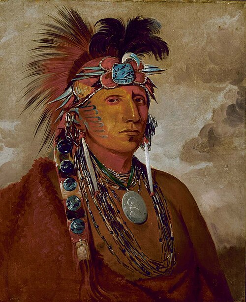 Shó-me-kós-see, The Wolf, a Chief, 1832, George Catlin