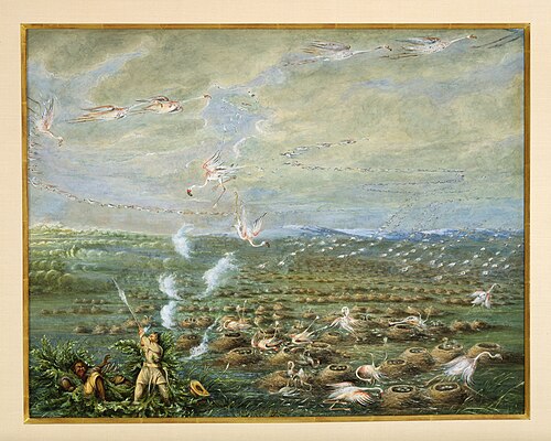 Flamingo Shooting in South America, 1856, George Catlin