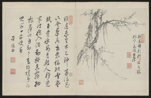 金俊明梅花图册, , Jin Junming