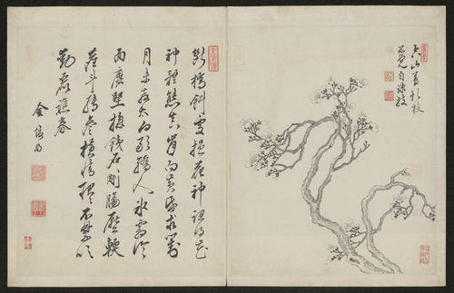 金俊明梅花图册, , Jin Junming