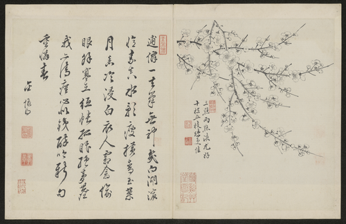 金俊明梅花图册, , Jin Junming