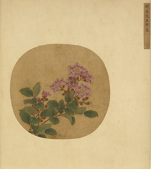 Crape Myrtle Sketched from Life, 1203, Wei Sheng