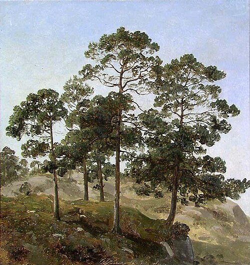 Study of Trees, 1843, Joachim Frich