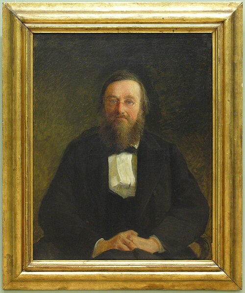 Portrait of Historian M. Kostomarov, , Nikolaï Gay