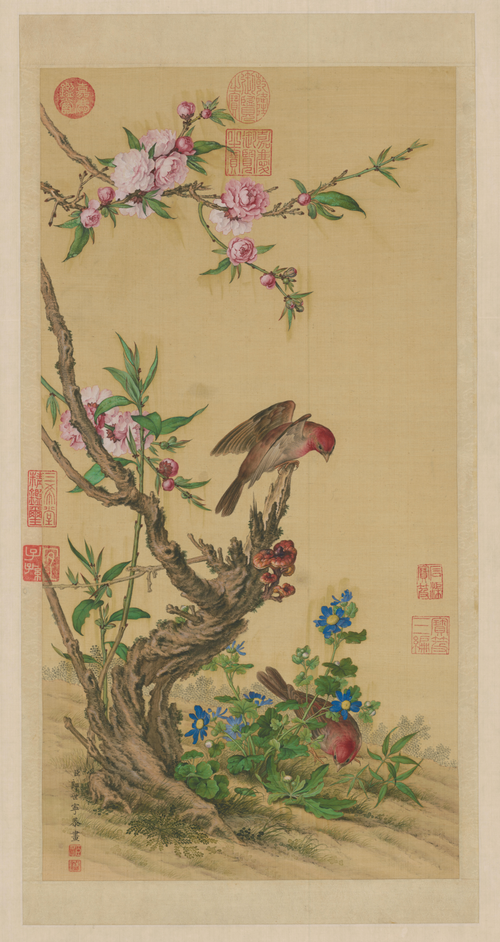 郎世宁花鸟图轴, , Giuseppe Castiglione