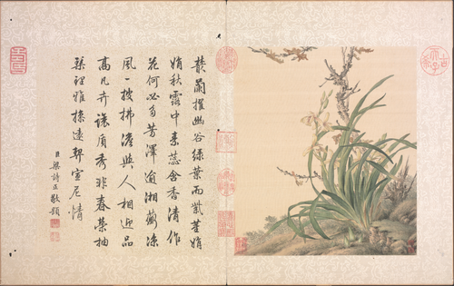 郎世宁花鸟图册, , Giuseppe Castiglione