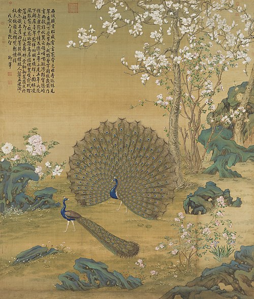 Peacock Spreading Its Tail Feathers, 1758, Giuseppe Castiglione
