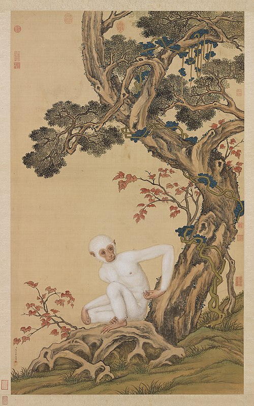 White Gibbon, , Giuseppe Castiglione