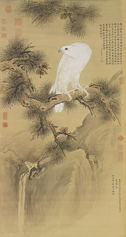White Gyrfalcon, 1751, Giuseppe Castiglione