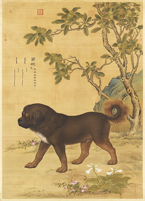 Dix Chiens nobles, , Giuseppe Castiglione