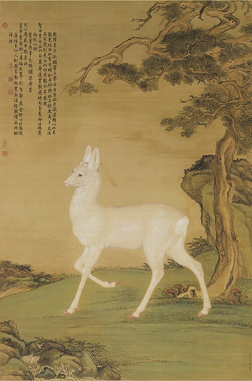 Peinture de chevreuil, 1751, Giuseppe Castiglione