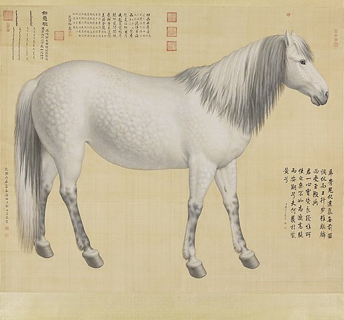 "As-You-Wish" Piebald, 1748, Giuseppe Castiglione