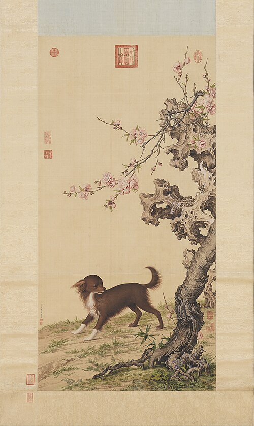 Long-haired Dog Beneath Blossoms, , Giuseppe Castiglione