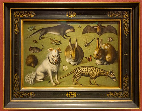 Animal Painting with a Genet, 1560, Ludger Tom Ring le Jeune