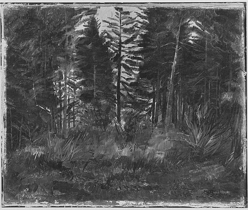 Waldinneres (Föhren), 1873, Wilhelm Trübner