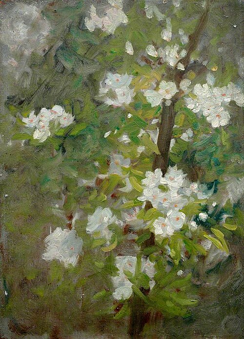 White Blossom, , Henry Scott Tuke