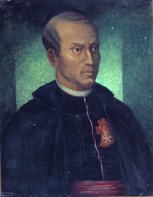 Retrato de José Maria Nunes Garcia, , Tarsila do Amaral