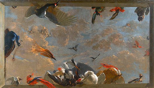 Ceiling "trompe-l'oeil" piece with birds, 1708, Abraham Busschop