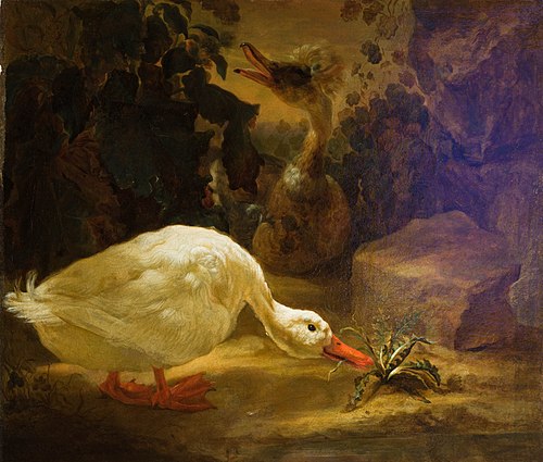 Ducks in a landscape 1693, 1693, Abraham Busschop