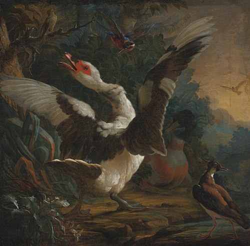 Birds in a landscape / A goose, a kingsfisher, and other birds in a landscape, , Abraham Busschop