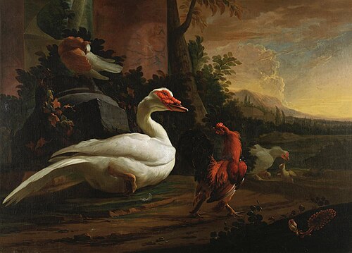Zuideljik landschap met een barbarie eend, een duif en kippen, 1650, Abraham Busschop