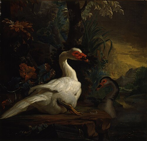 Uitheemse vogels in een parkachtige omgeving, 1718, Abraham Busschop