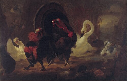 Gevecht tussen kalkoen en haan, 1700, Abraham Busschop