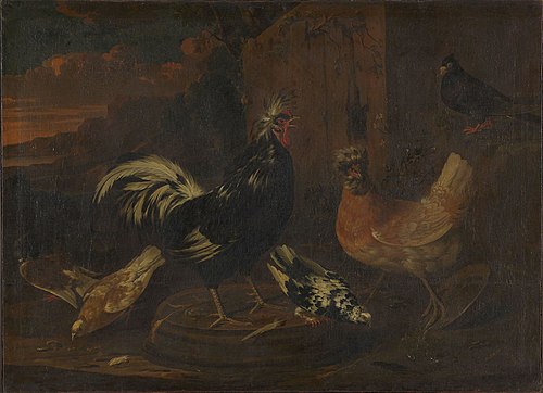 Høns og duer, 1739, Abraham de Haen