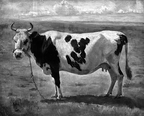 En ko i et landskab, 1885, Agnes Lunn