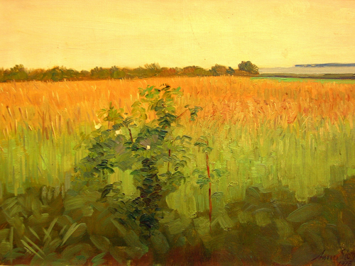 Fields., 1918, Agnes Slott-Møller