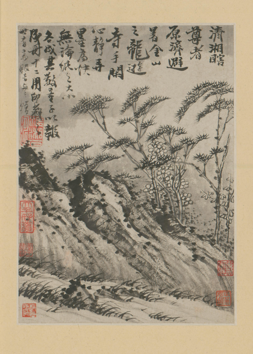 原济金山龙游寺诗意册, , Shitao