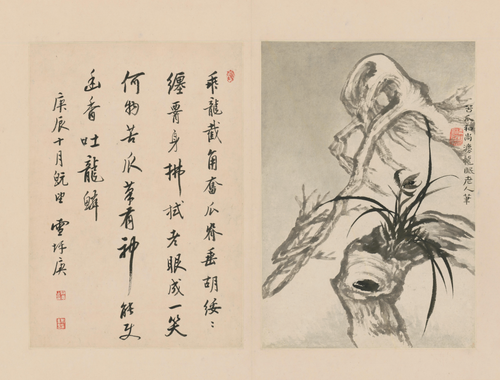 原济兰竹册－古木兰草, , Shitao