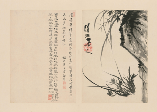 原济兰竹册－兰石, , Shitao